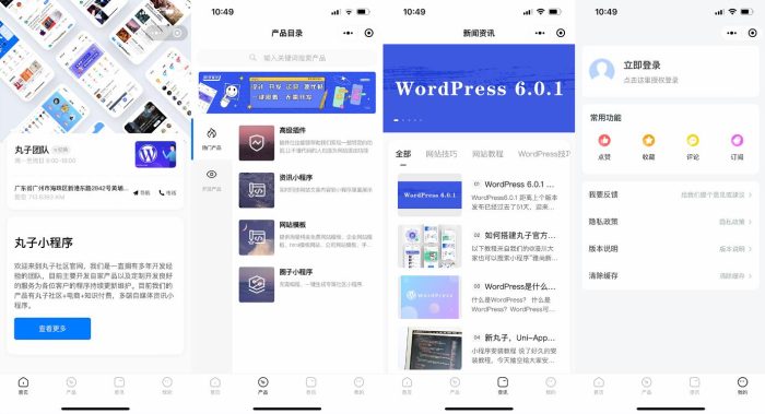 丸子企业官网增强版小程序首发附带安装教程_泽客资源网