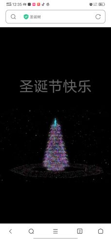 抖音同款圣诞树源码_泽客资源网