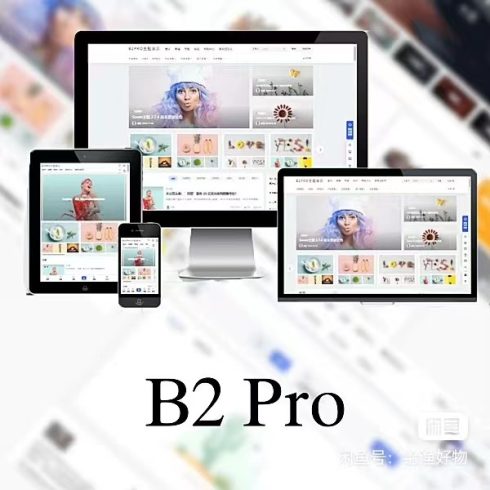 WordPress B2 Pro 主题5.2.0最新开心版,附带官方包体与授权文件_泽客资源网